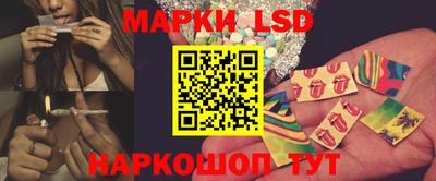 PSILOCYBIN Донской