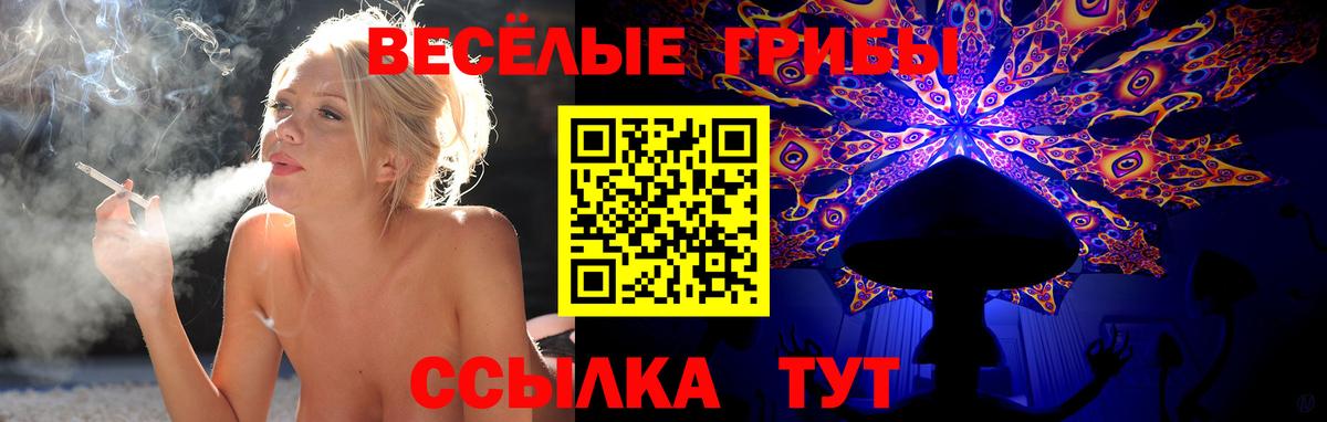 Кириши  Галлюциногенные грибы Psilocybine cubensis  Галлюциногенные грибы Psilocybine cubensis  купить наркотик  Вход с VPN 